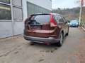 Honda CR-V CR-V 2.2i DTEC 4WD Comfort Brun - thumbnail 10