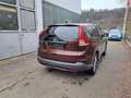 Honda CR-V CR-V 2.2i DTEC 4WD Comfort Brun - thumbnail 9