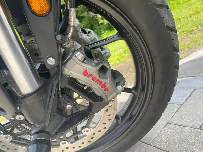 Triumph Tiger 900 - foto 6