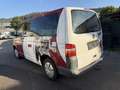 Volkswagen Sonstige Caravelle 2,5 TDI D-PF Rot - thumbnail 4