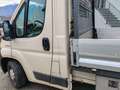 Fiat Ducato Cassonato Blanc - thumbnail 4