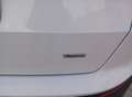 SEAT Ateca 2.0 tdi Xcellence 4drive 190cv dsg Bianco - thumbnail 7