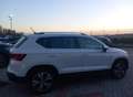 SEAT Ateca 2.0 tdi Xcellence 4drive 190cv dsg Bianco - thumbnail 4