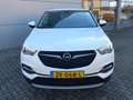 Opel Grandland X 1.2T 130pk Business Executive Automaat | Climate c Wit - thumbnail 2