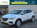 Opel Grandland X 1.2T 130pk Business Executive Automaat | Climate c Wit - thumbnail 1