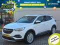 Opel Grandland X 1.2T 130pk Business Executive Automaat | Climate c Wit - thumbnail 1