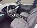 SEAT Arona Xperience 1.0 TSI 85 kW (116 PS) 7-Gang-DS Weiß - thumbnail 9
