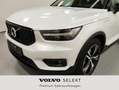 Volvo XC40 Recharge T5 R-Design Expression Weiß - thumbnail 18