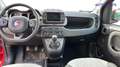 Fiat Panda Cross 1.0 FireFly Hybrid Rosso - thumbnail 14