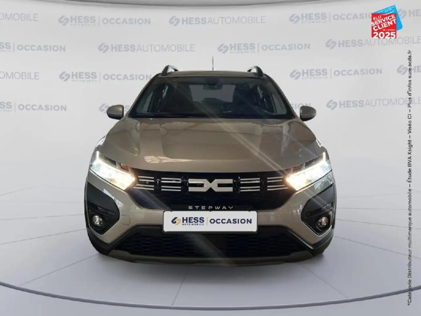 Dacia Sandero 1.0 ECO-G 100ch Stepway Expression GPS Camera Gris - 2