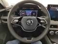 Skoda Superb wagon 2.0 tdi evo 150cv style dsg Argento - thumbnail 14