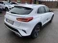 Kia XCeed 1.6 PHEV DCT SPIRIT AHK TECHNIK Klima Navi Blanc - thumbnail 7