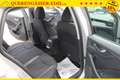 Skoda Scala 1.5TSI DSG "Selection" *5 j Gar*ACC*SHZ+LHK*LED... Gris - thumbnail 17