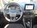Ford EcoSport 125PS Trend Klimaautom. Winter LMF Beige - thumbnail 10