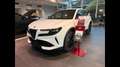 Alfa Romeo Junior Ibrida My25 Ibrida 1.2145cv Hybrid Edct6 Blanco - thumbnail 1