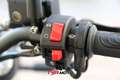 Benelli 500 E5 Bianco - thumbnail 15
