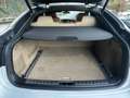 BMW X6 xdrive35d Futura auto Bianco - thumbnail 15