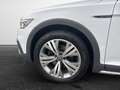 Volkswagen Passat Alltrack 2.0 TDI DSG 4M Harman Kardon, Pano, IQ.Light, AHK Weiß - thumbnail 6