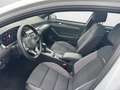 Volkswagen Passat Alltrack 2.0 TDI DSG 4M Harman Kardon, Pano, IQ.Light, AHK Weiß - thumbnail 8