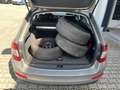 Skoda Octavia Ambition 4x4 1.8 16V TSI Metallic Beige - thumbnail 16