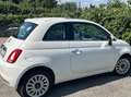 Fiat 500 500 III 2015 1.3 mjt Lounge 95cv Bianco - thumbnail 4