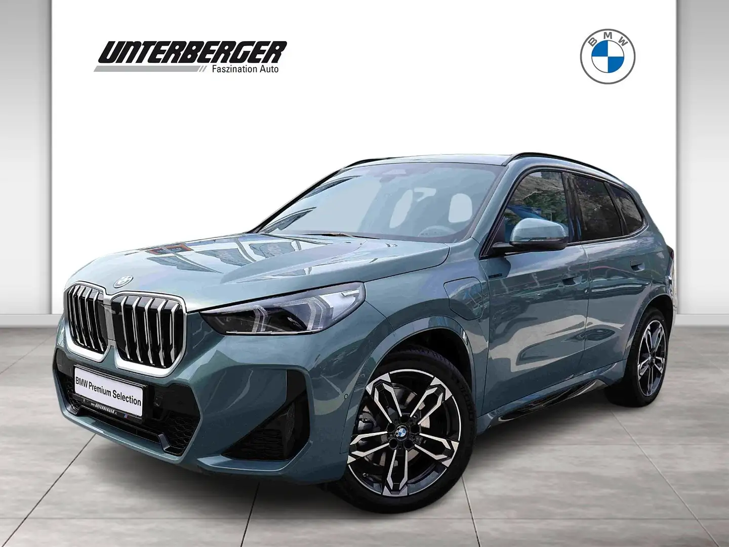 BMW X1 xDrive25e M-Sport Aut. Groen - 1