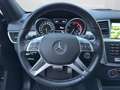 Mercedes-Benz ML 350 BlueTEC 4MATIC Off-Roader AHK Shz PTS Ambi Schwarz - thumbnail 13