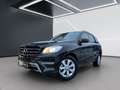 Mercedes-Benz ML 350 BlueTEC 4MATIC Off-Roader AHK Shz PTS Ambi Schwarz - thumbnail 2