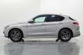Alfa Romeo Stelvio 2.2 TI Q4 210 Aut. Zilver - thumbnail 8