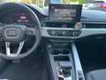 Audi A5 2.0 tdi mhev  quattro 204cv s-tronic Gris - thumbnail 13