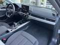 Audi A5 2.0 tdi mhev  quattro 204cv s-tronic Gris - thumbnail 16