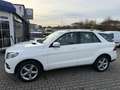 Mercedes-Benz GLE 250 d 4Matic** aus 2. Besitz ** TOP ZUSTAND Weiß - thumbnail 6