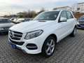 Mercedes-Benz GLE 250 d 4Matic** aus 2. Besitz ** TOP ZUSTAND Weiß - thumbnail 7