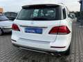 Mercedes-Benz GLE 250 d 4Matic** aus 2. Besitz ** TOP ZUSTAND Weiß - thumbnail 4