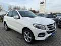 Mercedes-Benz GLE 250 d 4Matic** aus 2. Besitz ** TOP ZUSTAND Weiß - thumbnail 1