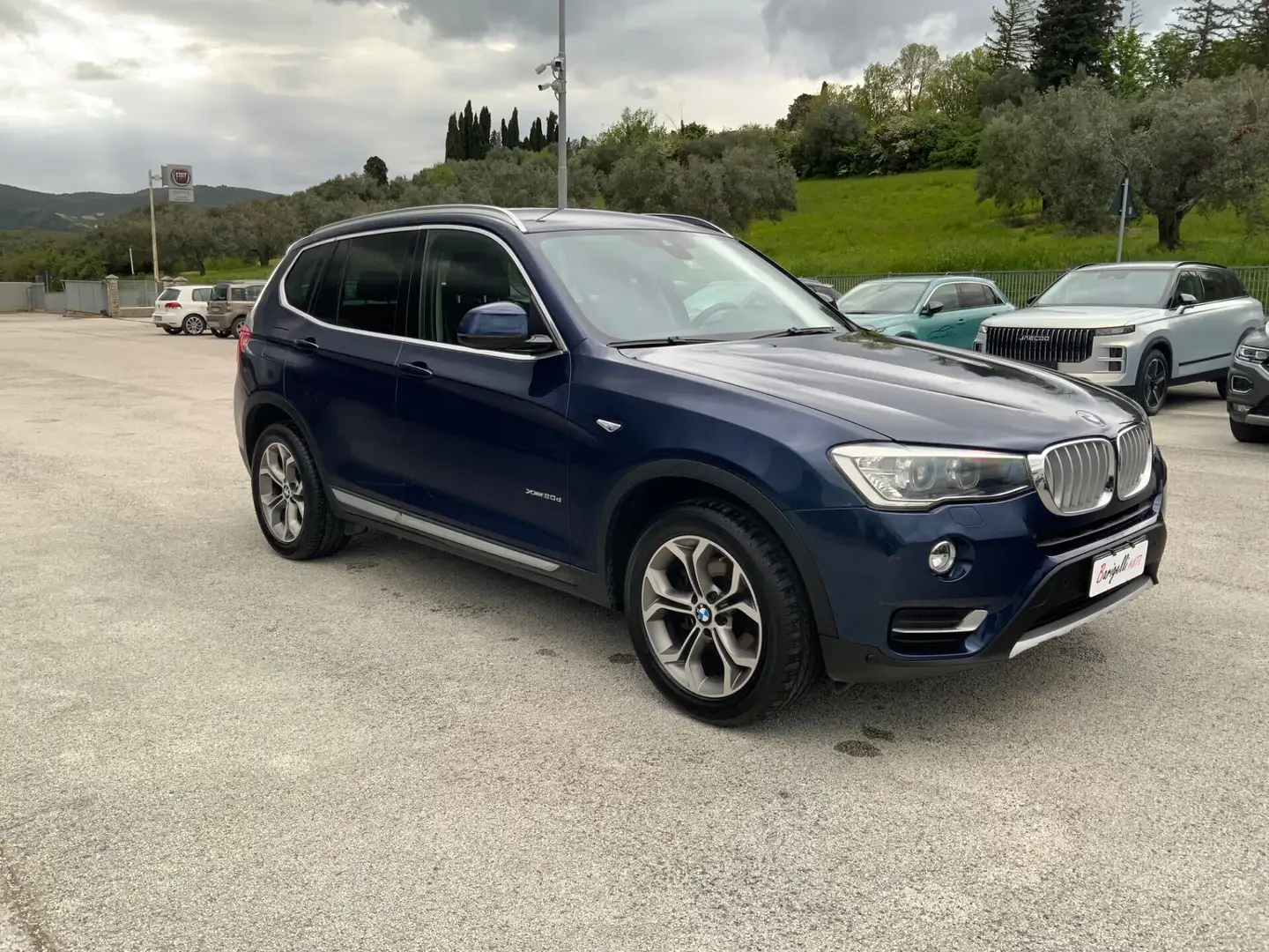 BMW X3 xDrive20d Business Advantage Aut. XENO.NAVI. Blu/Azzurro - 2