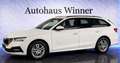 Skoda Octavia Ambition 2.0 TDI DSG Aut 150PS Erstbesitz Gepflegt Weiß - thumbnail 3