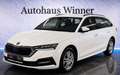 Skoda Octavia Ambition 2.0 TDI DSG Aut 150PS Erstbesitz Gepflegt Weiß - thumbnail 1