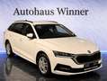 Skoda Octavia Ambition 2.0 TDI DSG Aut 150PS Erstbesitz Gepflegt Weiß - thumbnail 5