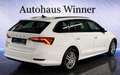 Skoda Octavia Ambition 2.0 TDI DSG Aut 150PS Erstbesitz Gepflegt Weiß - thumbnail 7