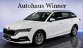 Skoda Octavia Ambition 2.0 TDI DSG Aut 150PS Erstbesitz Gepflegt Weiß - thumbnail 2