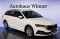 Skoda Octavia Ambition 2.0 TDI DSG Aut 150PS Erstbesitz Gepflegt Weiß - thumbnail 4