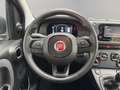 Fiat Panda 1.0 Hybrid 70cv 5 posti Nero - thumbnail 12