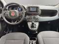 Fiat Panda 1.0 Hybrid 70cv 5 posti Nero - thumbnail 11