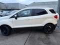 Ford EcoSport 1.0 EcoBoost Titanium Wit - thumbnail 3