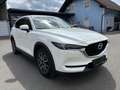 Mazda CX-5 CD150 AWD Revolution Erstbesitz - Metallic Weiß Weiß - thumbnail 3