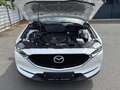 Mazda CX-5 CD150 AWD Revolution Erstbesitz - Metallic Weiß Weiß - thumbnail 15