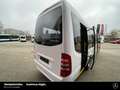 Mercedes-Benz Sprinter CITY 75 TELMA 18 STEHPLATZ 17 SITZPLATZ Blanc - thumbnail 15