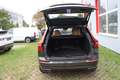 Volvo XC60 Inscription AWD | LEDER | AHK | Aktives Fahrwerk | Braun - thumbnail 12