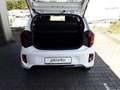Kia Picanto 1.2 DPI MT Vision Weiß - thumbnail 14